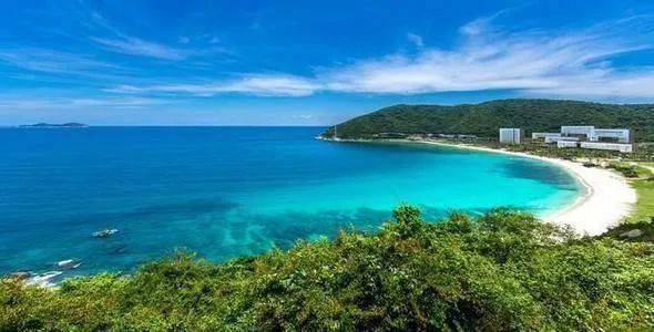 亞龍灣最新招聘動態(tài)，洞悉職位空缺與影響