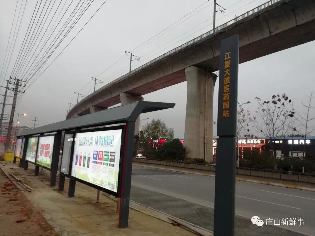 江夏區(qū)最新消息概覽，最新動態(tài)與資訊速遞