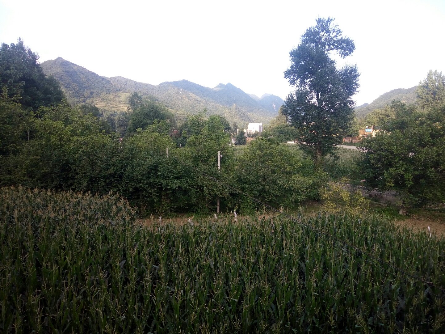 高窯溝村委會(huì)天氣預(yù)報(bào)更新通知