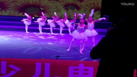 幼兒園2017最新舞蹈，展現(xiàn)孩子們活力與創(chuàng)意的精彩瞬間