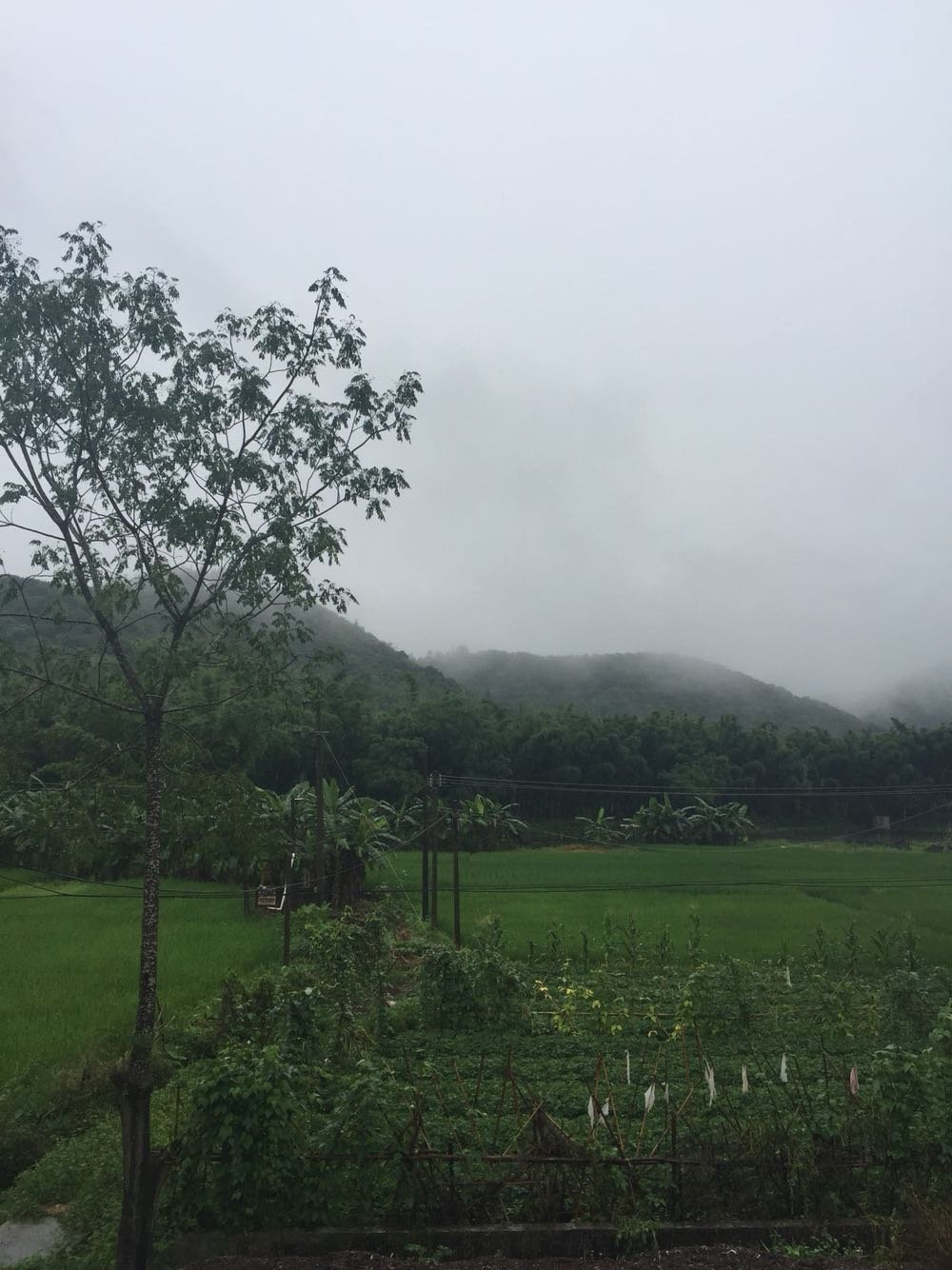 當杰村最新天氣預報通知