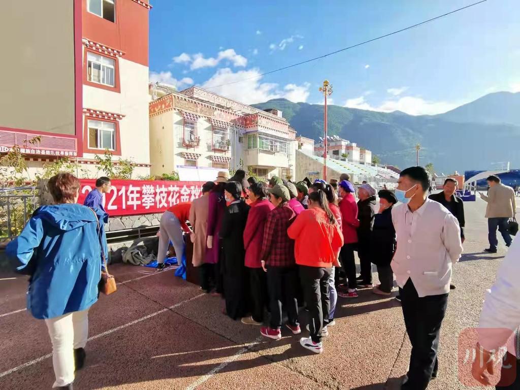 攀枝花最新招聘動態(tài)與職業(yè)發(fā)展機遇揭秘