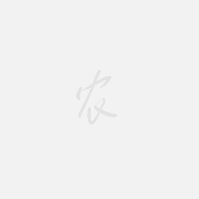 草甘膦價格動態(tài)及市場走勢分析，最新價格與影響因素探討