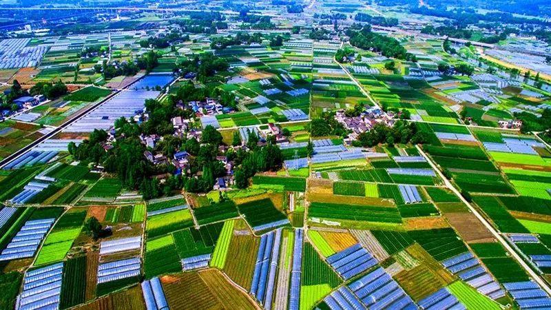 新津縣住房和城鄉(xiāng)建設局最新發(fā)展規(guī)劃揭秘，未來城市建設的藍圖與展望