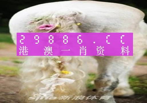 今晚一肖一碼澳門一肖四不像,綜合性計劃定義評估_戶外版85.568