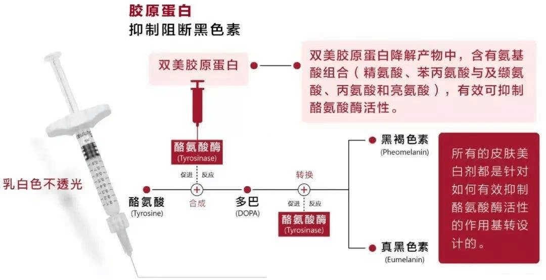 7777788888王中王傳真,整體講解規(guī)劃_OP87.197