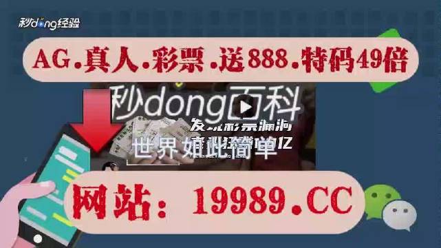 澳門一肖一碼100準免費資料2024,重要性解釋落實方法_蘋果款24.679