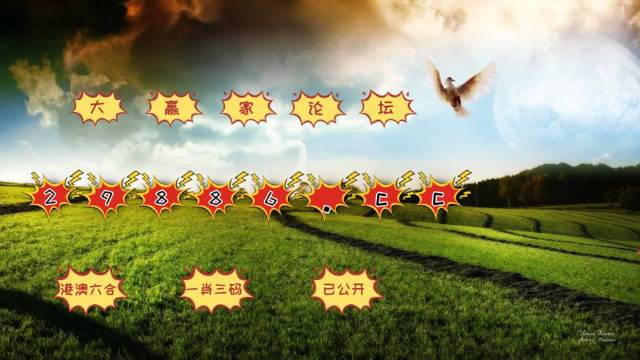 4949澳門今晚開獎,靈活性計劃實施_開發(fā)版38.224