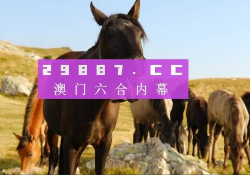 澳門管家婆一碼中2024,平衡策略指導(dǎo)_AR版99.983