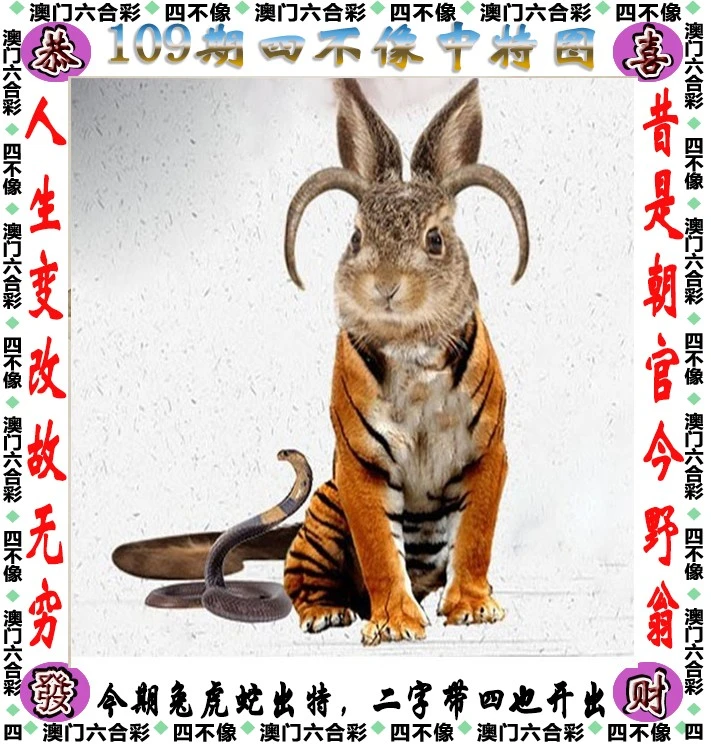 今晚必中一肖一碼四不像,高速響應(yīng)方案解析_尊貴款76.262