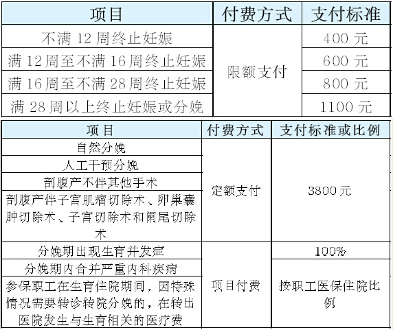全年資料免費大全,綜合性計劃定義評估_頂級款66.304