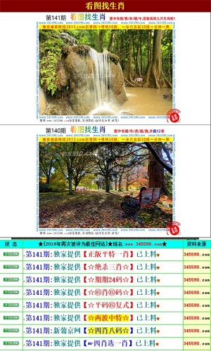精準資料王中王六肖中特,實地考察數(shù)據(jù)分析_WP48.376
