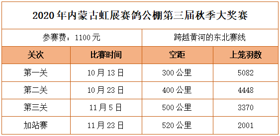 2024新澳門今天晚上開什么生肖,穩(wěn)健性策略評估_特別版62.884