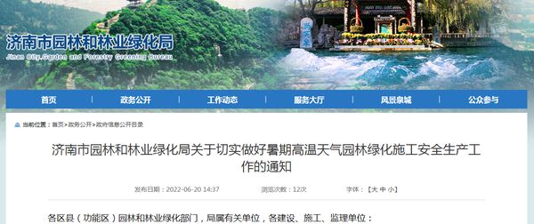 林業(yè)最新改制，推動綠色發(fā)展的強(qiáng)大引擎