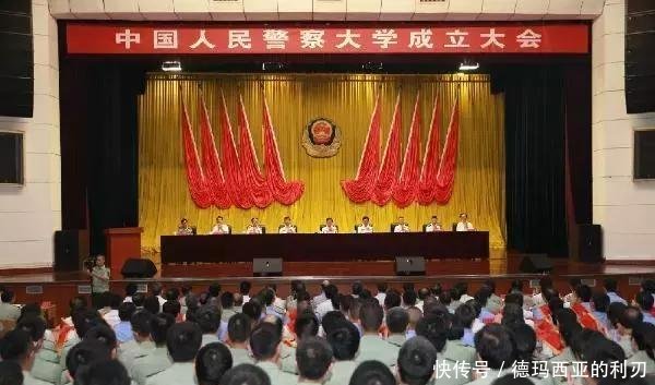 部隊(duì)最新改革方案，重塑軍事力量，加速現(xiàn)代化轉(zhuǎn)型