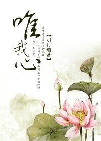 明月珰最新小說，魅力探索與精彩呈現(xiàn)