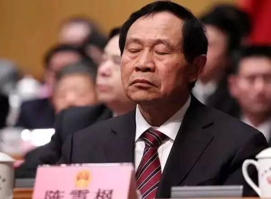 陳雪楓最新動(dòng)態(tài)，揭開(kāi)未來(lái)無(wú)限潛能的序幕