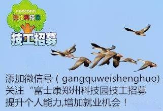 新鄭港區(qū)最新招聘動(dòng)態(tài)與職業(yè)機(jī)會(huì)展望
