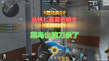 大熊CF手游最新動(dòng)態(tài)揭秘