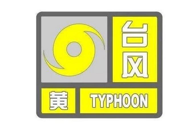 臺風(fēng)動態(tài)更新，第16號臺風(fēng)最新報告與消息速遞