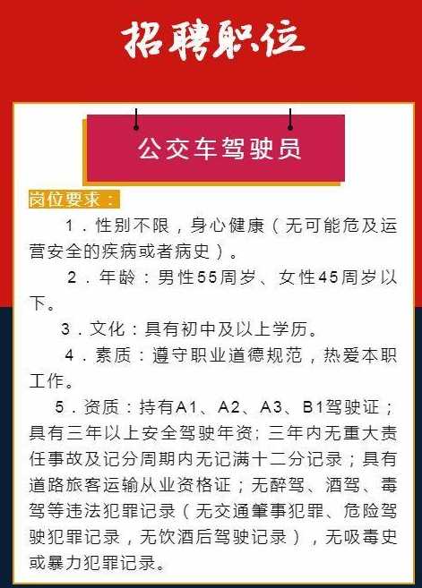 濟寧最新駕駛員招聘，行業(yè)趨勢與求職指南全解析