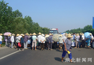 那梭農(nóng)場(chǎng)最新交通新聞更新，路況、進(jìn)展與動(dòng)態(tài)