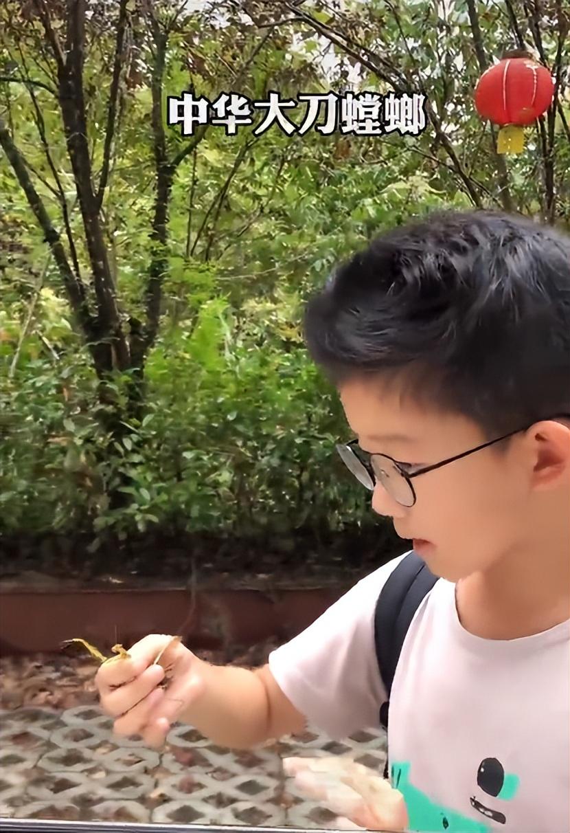 LOL最新螳螂天賦攻略，掌握天賦，助力戰(zhàn)斗實力提升