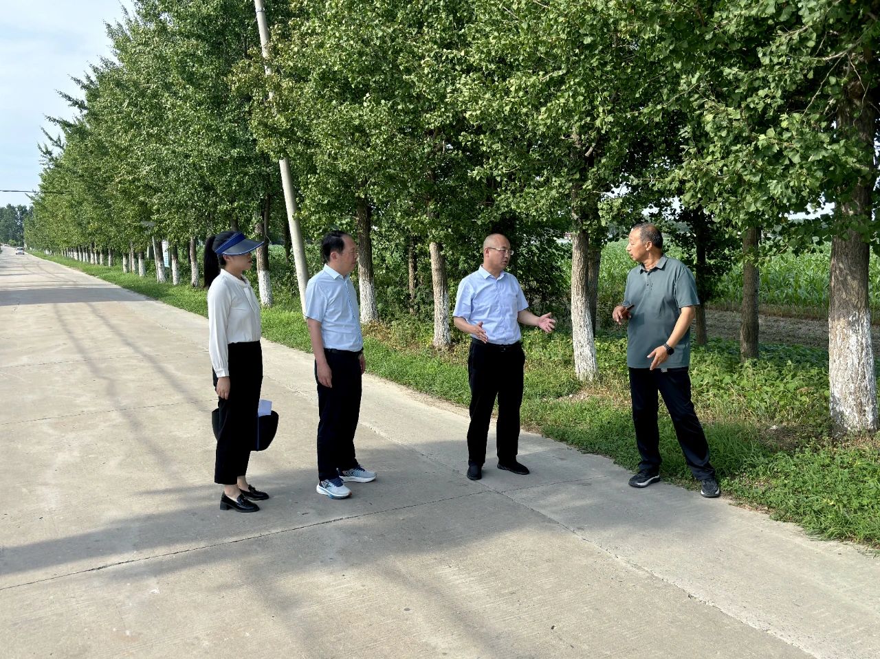 弶港鎮(zhèn)最新新聞報(bào)道概覽