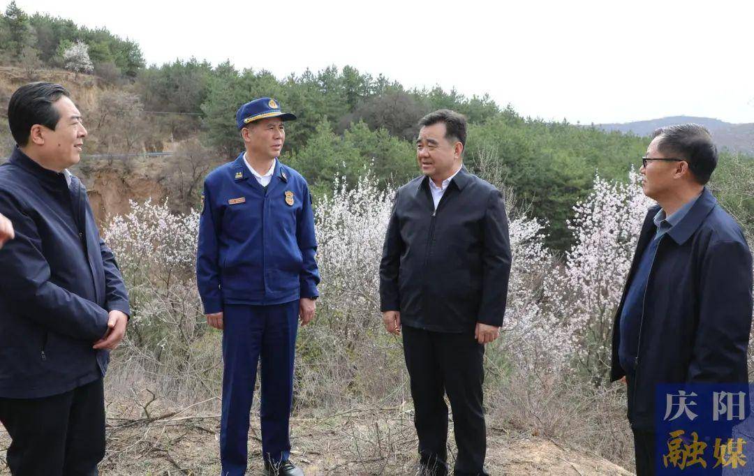 慶陽市林業(yè)局最新新聞動(dòng)態(tài)發(fā)布