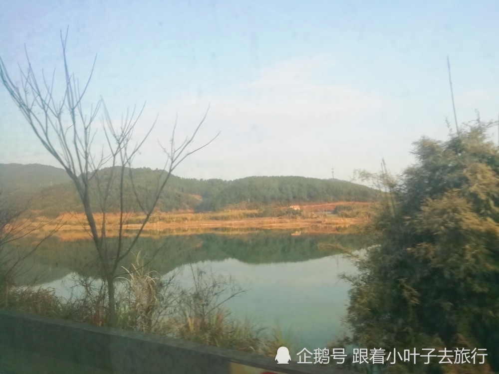 大竹鎮(zhèn)最新項(xiàng)目，引領(lǐng)地區(qū)發(fā)展的強(qiáng)大動(dòng)力源泉