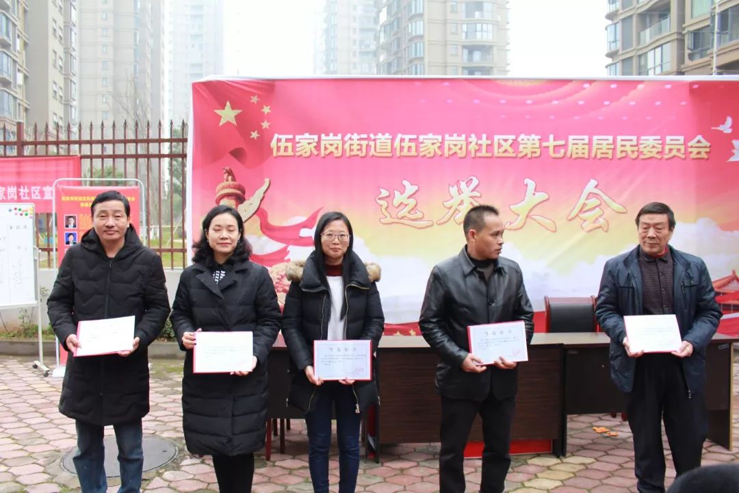 馬家渡社區(qū)人事任命最新動(dòng)態(tài)，新任領(lǐng)導(dǎo)名單揭曉